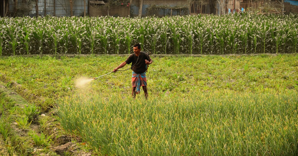 Pesticidas y Parkinson: ¿Pueden los organofosforados aumentar el riesgo de padecer esta enfermedad?